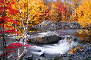 autumn_stream.jpg