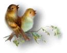 bird_10.jpg