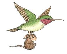 bird_25.jpg