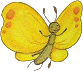 butterfly1i1.gif